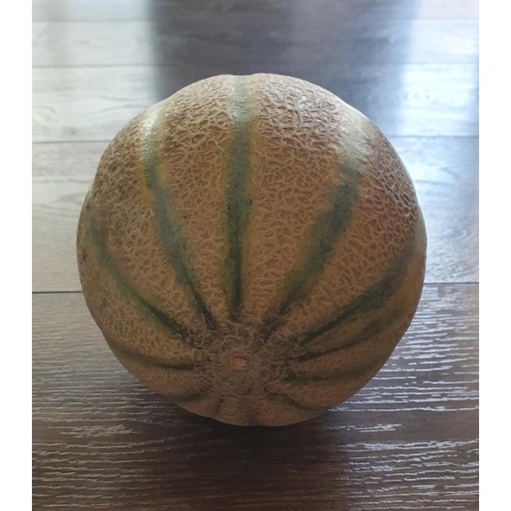 Pepene cantalup Master F1