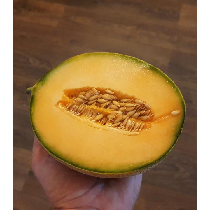 Pepeni galbeni cantalup Master F1