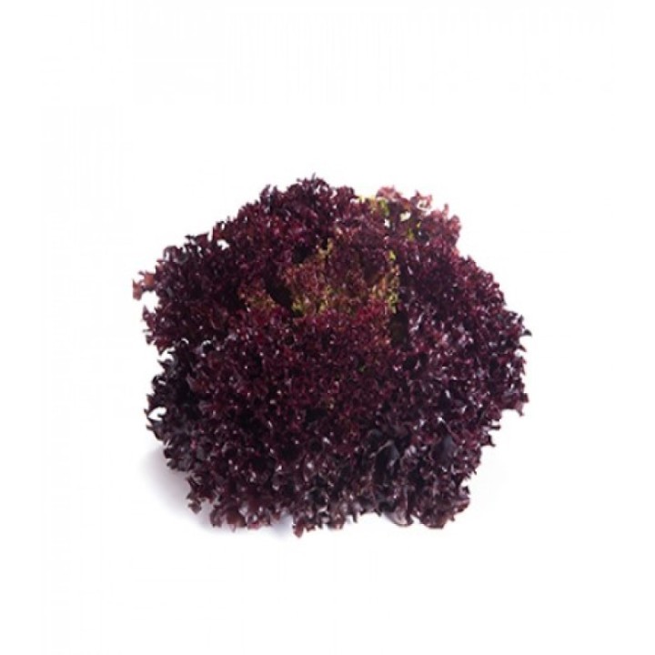 Seminte salata Carnelian