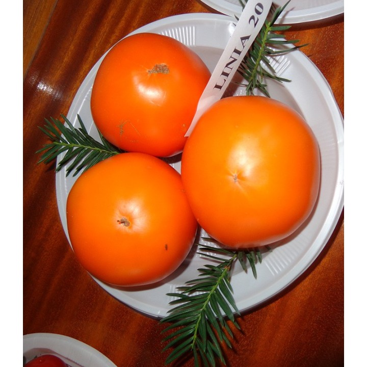 Seminte de tomate Nectaria, 2 grame