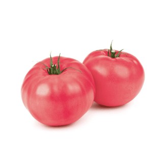 Seminte de tomate Oriental Magic F1, 500 seminte