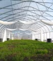 Folie termica Europlast pentru sere si solarii, 50 microni, vrac