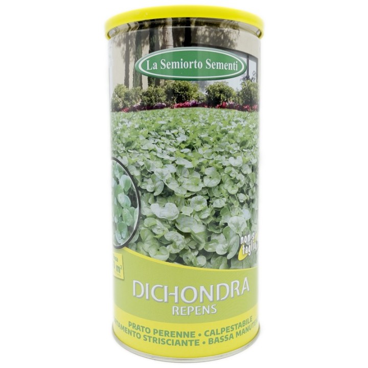 Seminte de Dichondra repens , 450 grame