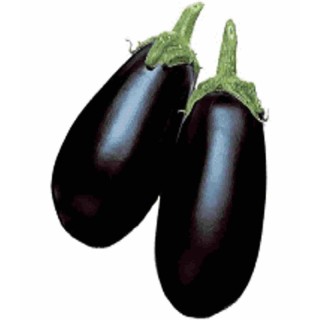Seminte de vinete Black Dragon F1, 1000 seminte