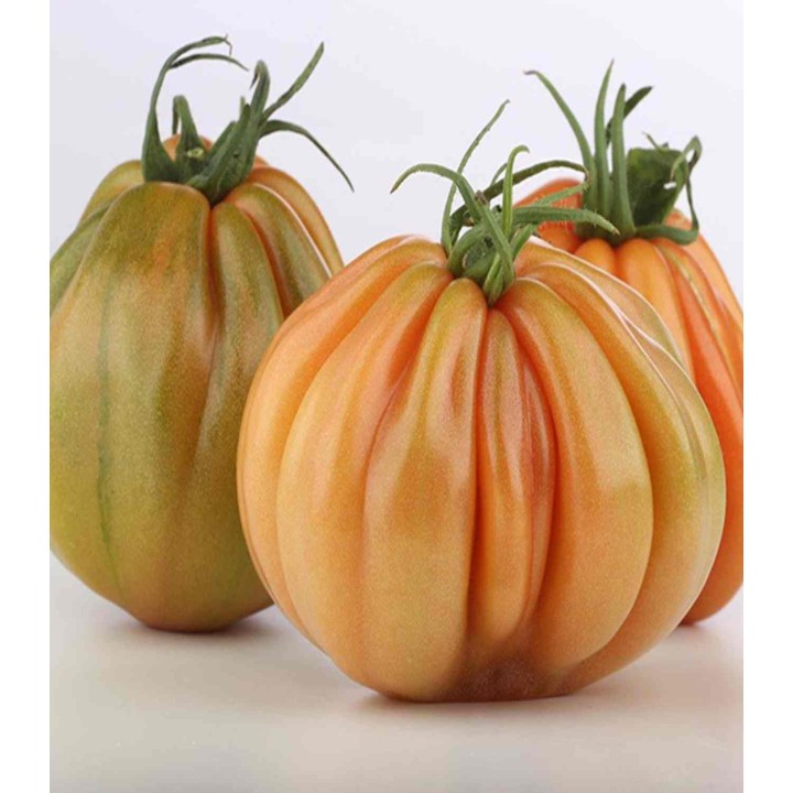 Seminte de tomate Mamipink F1, 100 seminte