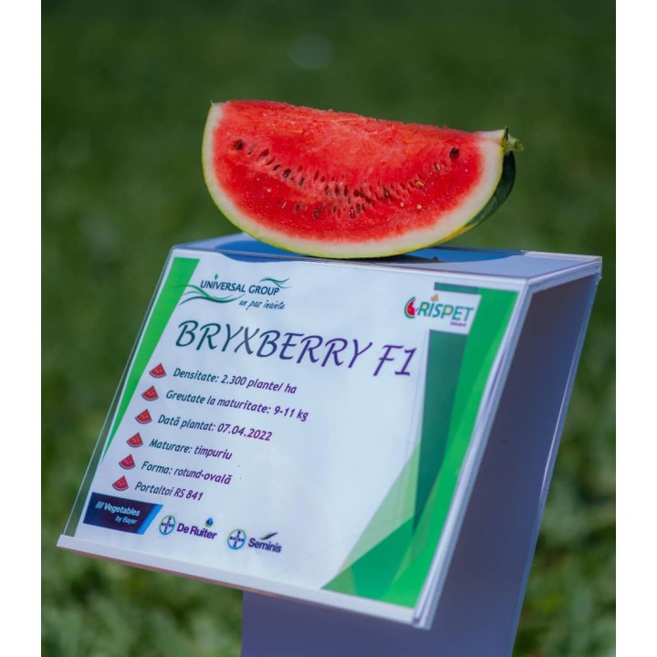 Seminte de pepene Bryxberry F1, 250 Seminte