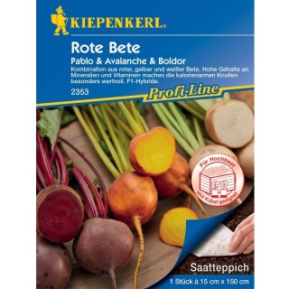 Mix de sfecla rosie, galbena si alba, covor cu seminte