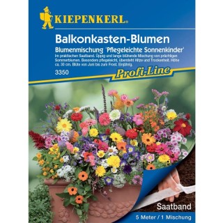 Mix flori de balcon si jardiniere