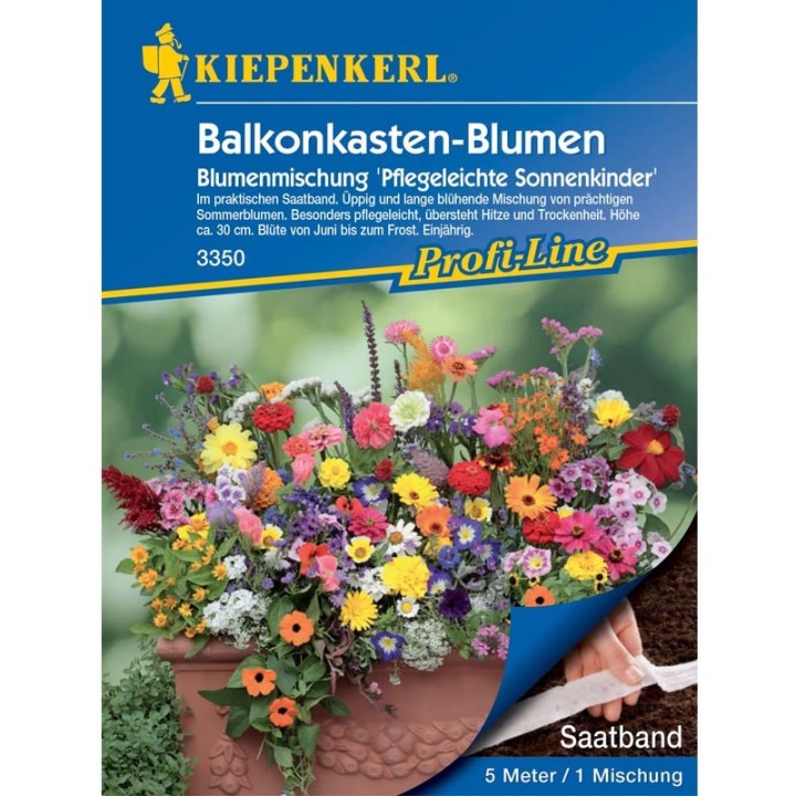 Mix flori de balcon si jardiniere