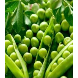 Seminte de mazare Korvin, 250 grame