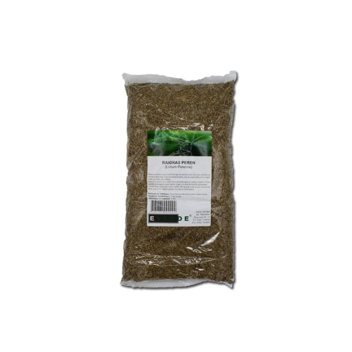 Seminte de lolium Capri, 25 kg