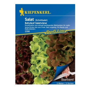 Seminte de salata Babyleaf Mix, banda cu seminte