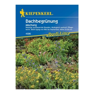 Amestec de seminte Green Roof (flori de acoperis), pentru 3-4 m²