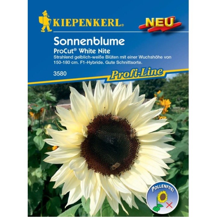 Seminte de floarea soarelui ProCut White Nite F1 (15 seminte)