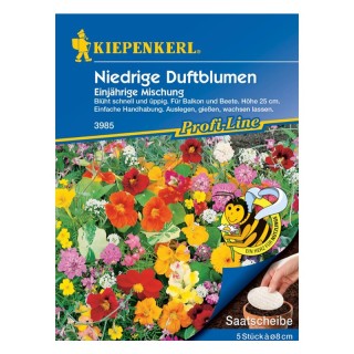 Amestec flori usor parfumate (disc cu seminte 5 buc, 8 cm)