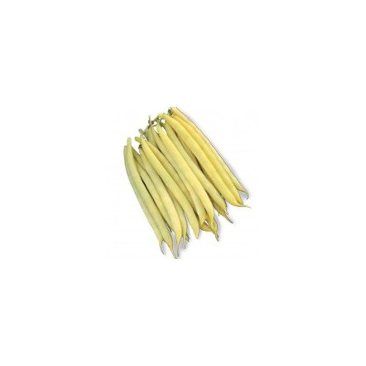 Seminte de fasole Aurie de turda, sac 25 kilograme