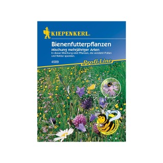 Amestec de flori salbatice perene, pentru 5-8 m², 15 g