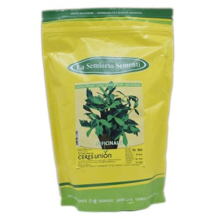 Seminte de leustean Mountain Celery, 500 g