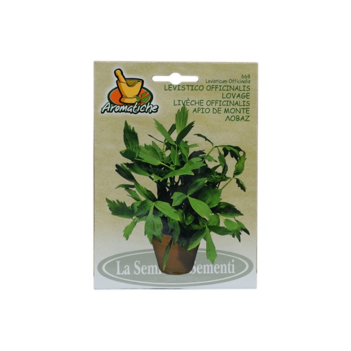 Seminte de leustean Mountain Celery, 2 grame