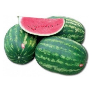 Seminte de pepene verde Crimson Ruby F1