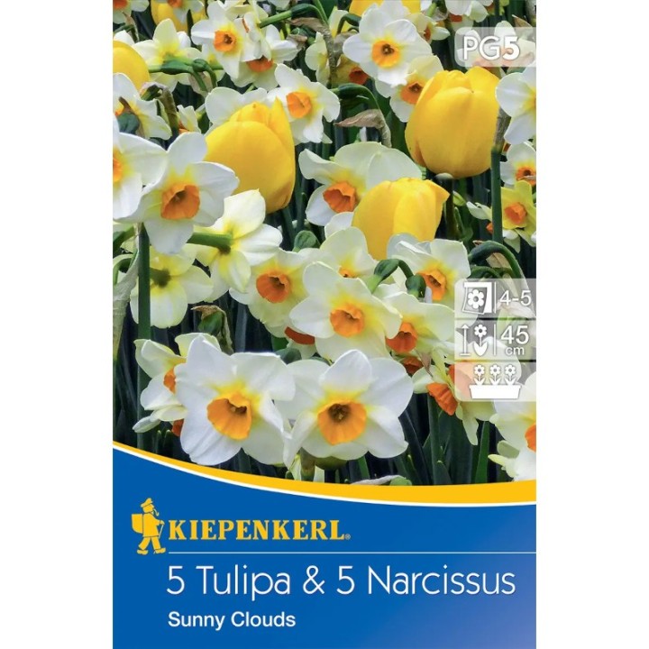 Amestec lalele si narcise Sunny Clouds - 10 bulbi/pachet