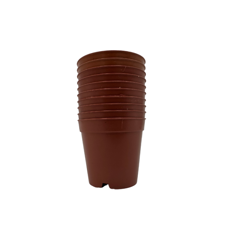 Ghivece pentru cactusi maro, diametru 5,5 cm, set 100 buc