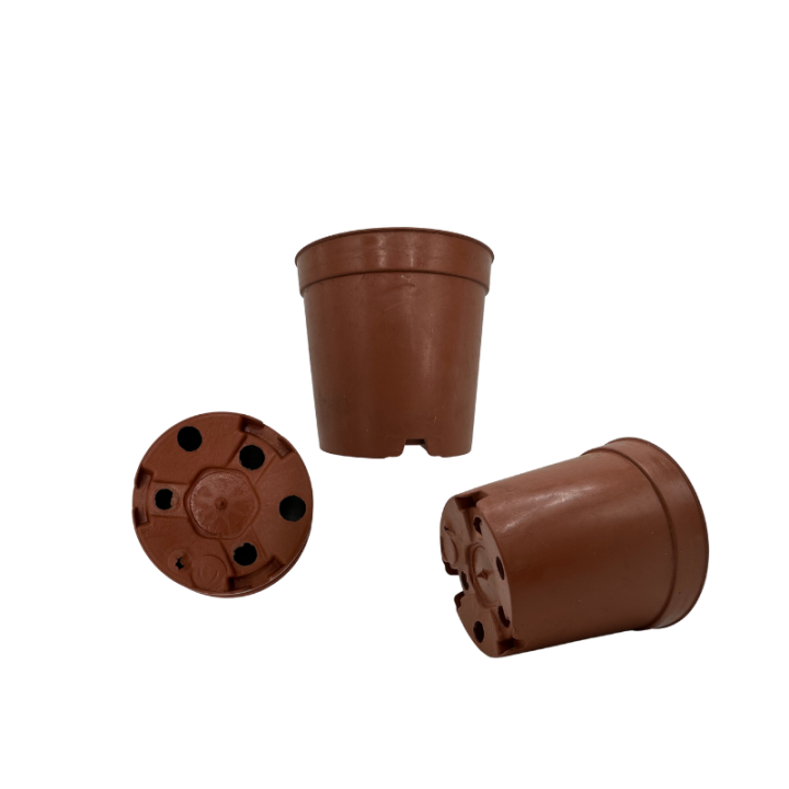 Ghivece pentru cactusi maro, diametru 5,5 cm, set 100 buc