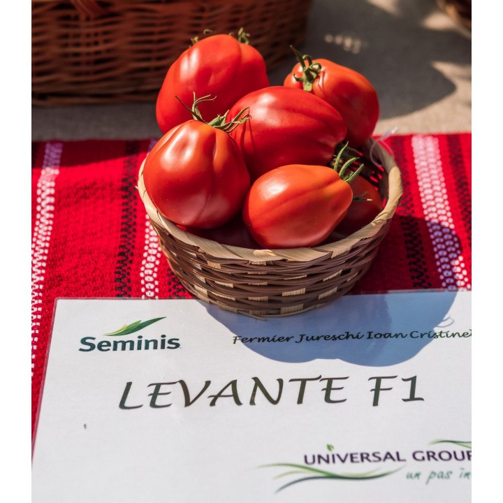 Seminte de tomate Levante F1, 100 seminte