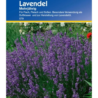 Lavanda, 100 seminte