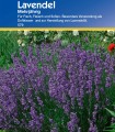 Lavanda, 100 seminte