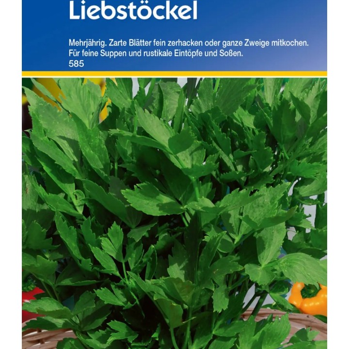 Leustean (50 sem)