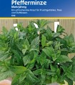 Menta (60 sem)
