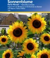Floarea Soarelui Inalt Gigant (15 sem)