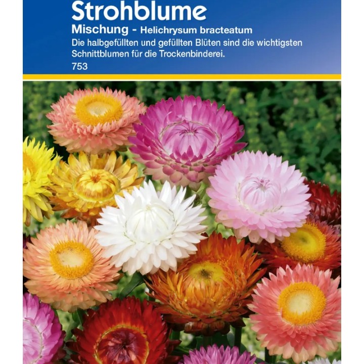 Helichrysum Imortele, 50 seminte