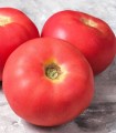 Seminte de tomate 20T1236 F1, 100 seminte