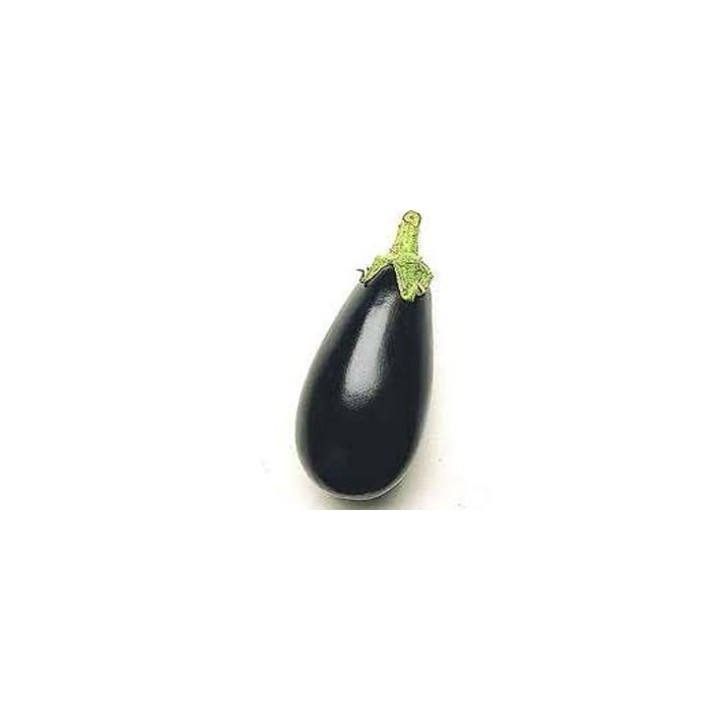 Seminte de vinete Black Enorma F1