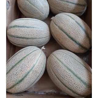 Seminte de pepene galben Maggi F1, 250 seminte
