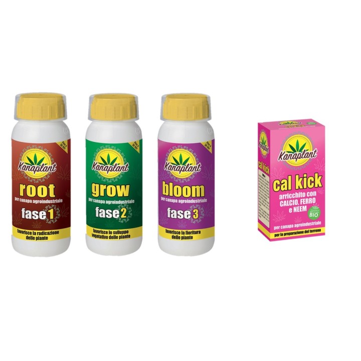 Kanaplant Root faza 1, stimulator inradacinare, 500 g, Flortis