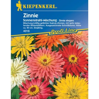 Carciumarese (Zinnia) Raza de Soare (40 seminte)