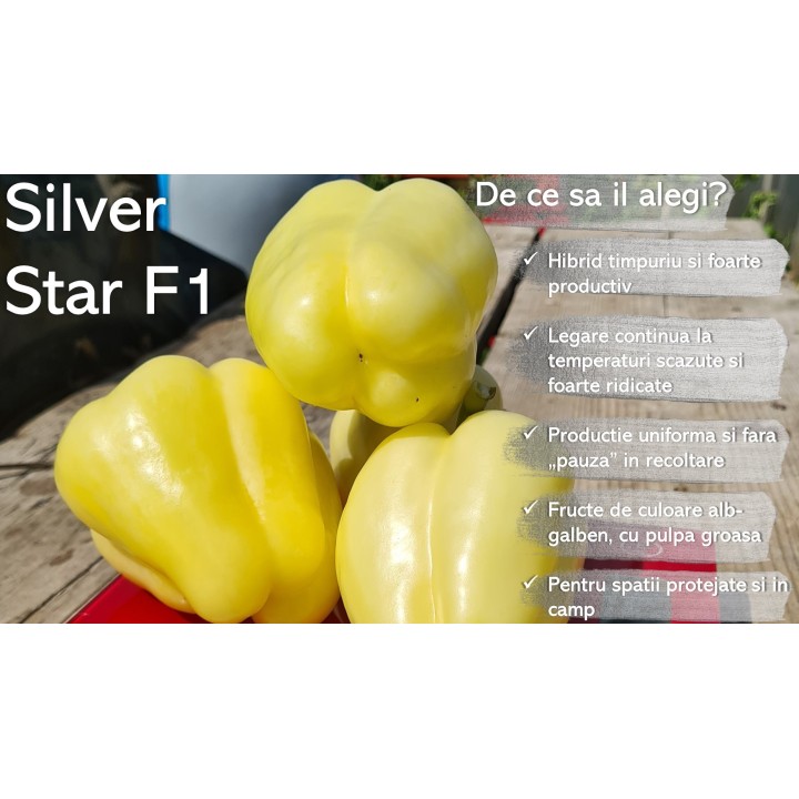 Silver Star F1, avantaje 3