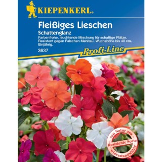 Impatiens (Sporul Casei) Shadow Shine F1 (18 seminte)
