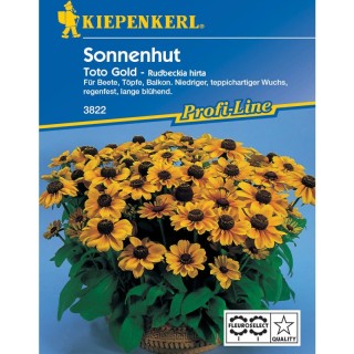 Rudbeckia Toto Gold (30 seminte)