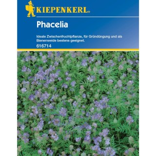 Seminte Facelia