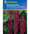 Seminte de Amaranthus, Motul curcanului