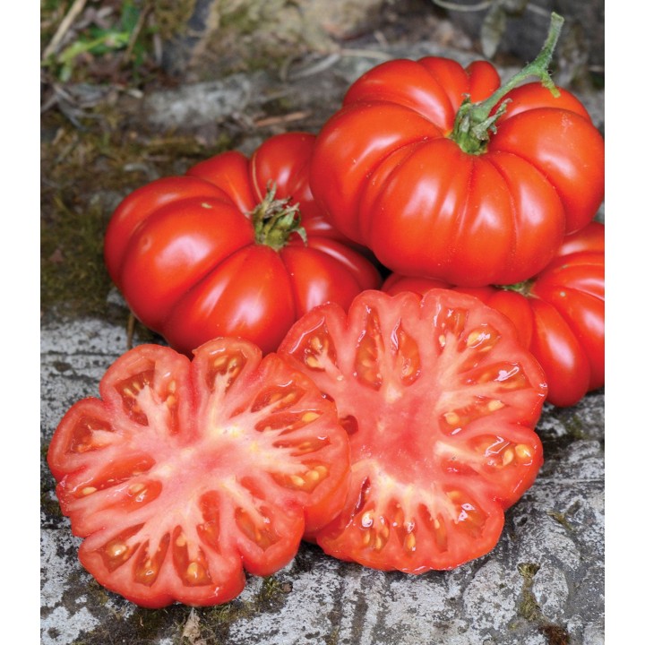 Seminte de tomate Costoluto Fiorentino, 3 grame