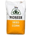 Seminte de porumb P9911, FAO 410, sac 80.000 seminte