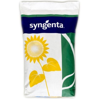 Seminte de floarea SY Michigan CLP, sac 150.000 seminte