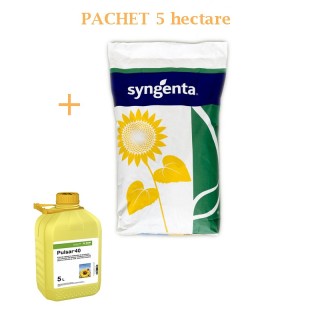 Seminte de floarea SY Michigan CLP, Clearfield® Plus + Erbicid Pulsar, pachet 5 ha