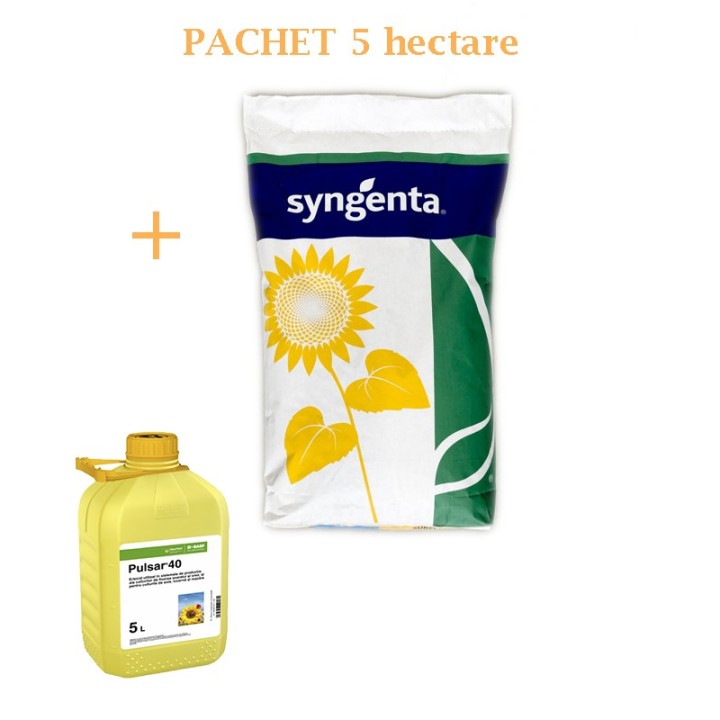 Seminte de floarea SY Michigan CLP, Clearfield® Plus + Erbicid Pulsar, pachet 5 ha