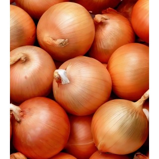 Seminte de ceapa Ancuta, 1 kg